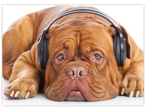 Slika psa sa slušalicama (70x50 cm)