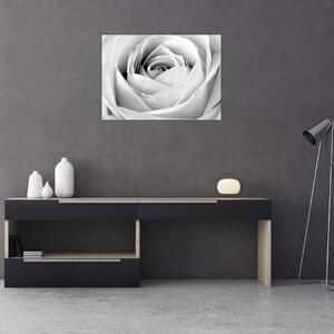 Slika - Detalj cvijeta ruže (70x50 cm)