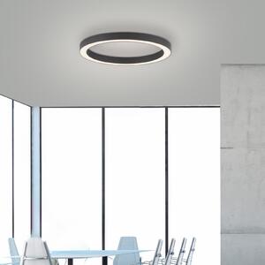 PURE LED stropna svjetiljka Lines, Ø 50 cm, antracit, CCT, daljinski upravljač, prigušiva, Crno, Dnevni boravak/blagovaonica, Metal