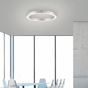 PURE LED stropna svjetiljka Lines, Ø 50 cm, srebrna, CCT, prigušiva, Sivo, Dnevni boravak/blagovaonica, Metal