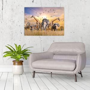 Slika - Afričke životinje (70x50 cm)
