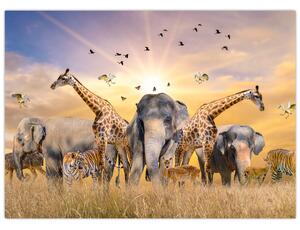 Slika - Afričke životinje (70x50 cm)