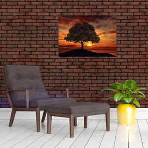 Slika stabla sa zalaskom sunca (70x50 cm)