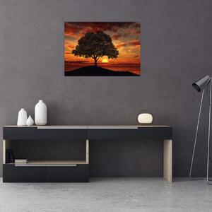Slika stabla sa zalaskom sunca (70x50 cm)