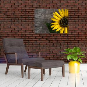 Slika - Cvijet suncokreta (70x50 cm)