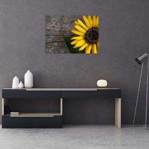 Slika - Cvijet suncokreta (70x50 cm)