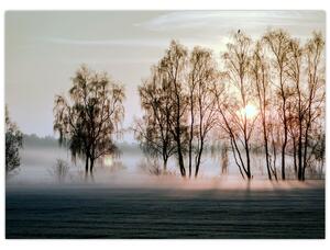 Slika - Vlažno i prohladno jutro (70x50 cm)