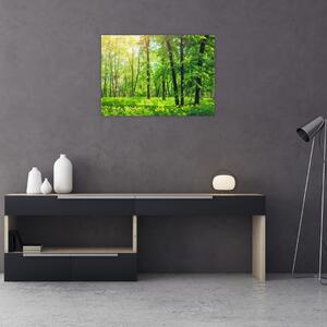 Staklena slika - Proljetna listopadna šuma (70x50 cm)