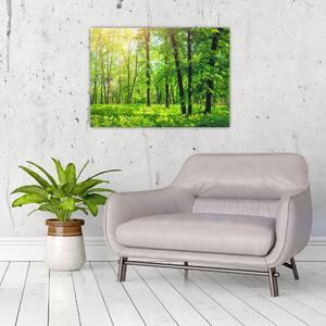 Staklena slika - Proljetna listopadna šuma (70x50 cm)