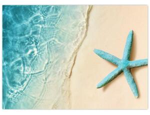 Slika - Morska zvijezda na plaži (70x50 cm)