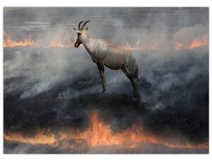 Slika divokoze u plamenu (70x50 cm)