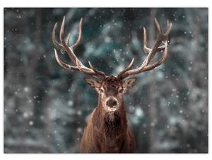 Slika - Veličanstvenost jelena (70x50 cm)