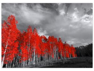 Slika - Drveće u jesenskim bojama (70x50 cm)