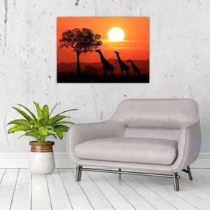 Slika žirafa u zalasku sunca (70x50 cm)