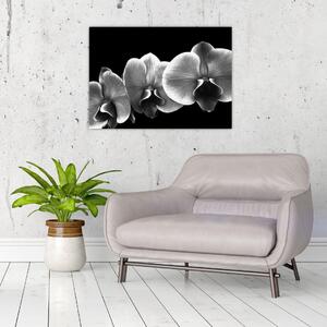 Slika cvijeta orhideje (70x50 cm)