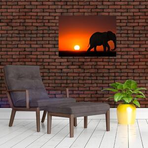 Slika slona u zalasku sunca (70x50 cm)