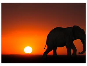 Slika slona u zalasku sunca (70x50 cm)