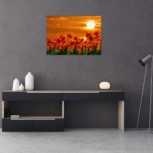 Slika cvatućeg polja s tulipanima (70x50 cm)