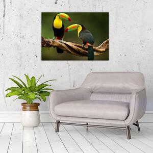 Staklena slika tukana koji sjede, Kostarika (70x50 cm)