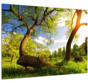 Staklena slika proljetne livade (70x50 cm)