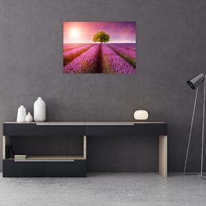 Staklena slika polja s lavandom (70x50 cm)