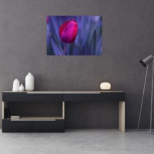 Staklena slika pupoljka tulipana (70x50 cm)