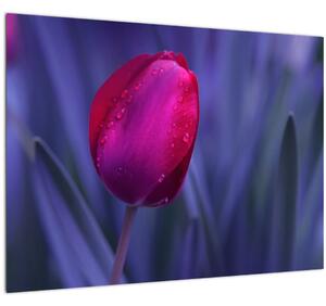 Staklena slika pupoljka tulipana (70x50 cm)