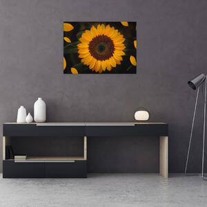 Slika - Suncokreti i latice cvijeta (70x50 cm)