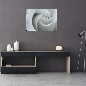 Slika - Bijela ruža (70x50 cm)