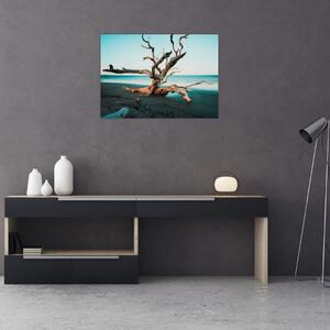 Slika - Naplavine na plaži (70x50 cm)