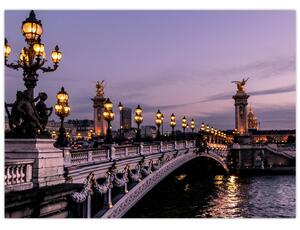 Slika - Most Aleksandra III. u Parizu (70x50 cm)