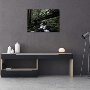 Slika crne šume (70x50 cm)