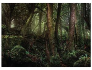 Slika - Tajanstvena šuma (70x50 cm)