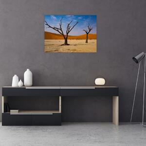 Slika - Dolina smrti (70x50 cm)