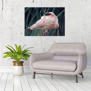 Slika - Flamingo (70x50 cm)
