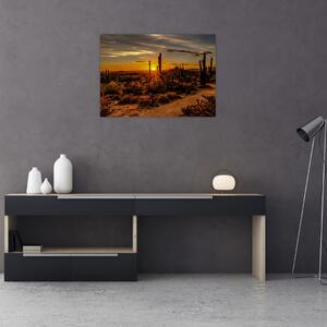 Slika - Kraj dana u pustinji Arizona (70x50 cm)