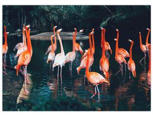 Slika jata flaminga (70x50 cm)