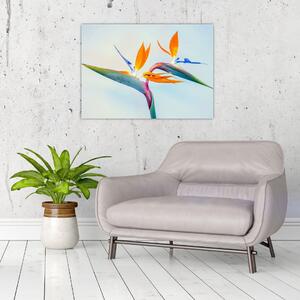 Slika cvijeta Strelicije (70x50 cm)
