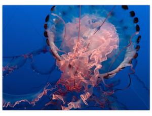 Slika meduze (70x50 cm)