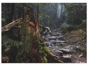 Slika - U šumi (70x50 cm)