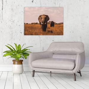 Slika - Dolazak slona (70x50 cm)