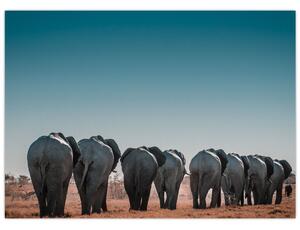 Slika - Odlazak slonova (70x50 cm)