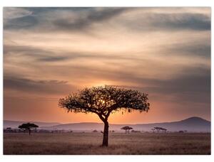 Slika zalaska sunca u Tanzaniji (70x50 cm)
