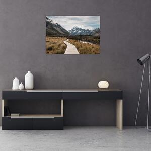 Slika - Šetnica u dolini planine Mt. Cook (70x50 cm)