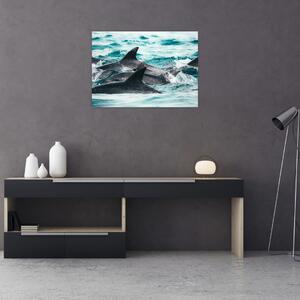 Slika - Dupini u oceanu (70x50 cm)
