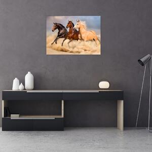 Slika - Divlji konji (70x50 cm)