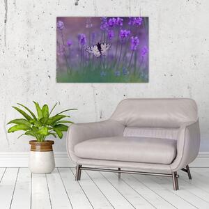 Slika - Leptir u lavandi (70x50 cm)