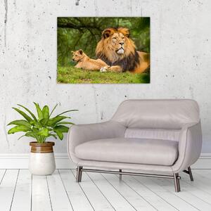 Slika lavova (70x50 cm)
