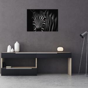 Slika zebre (70x50 cm)