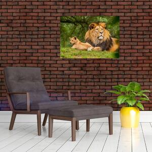 Slika lavova (70x50 cm)
